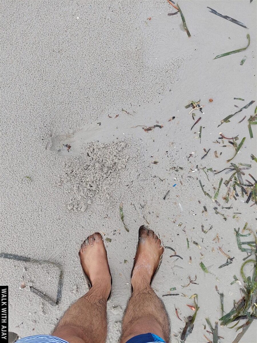 Day 2 - Enjoying One Day Trip To 4 Islands With Snorkeling : Trang, Thailand (Oct'21) 4