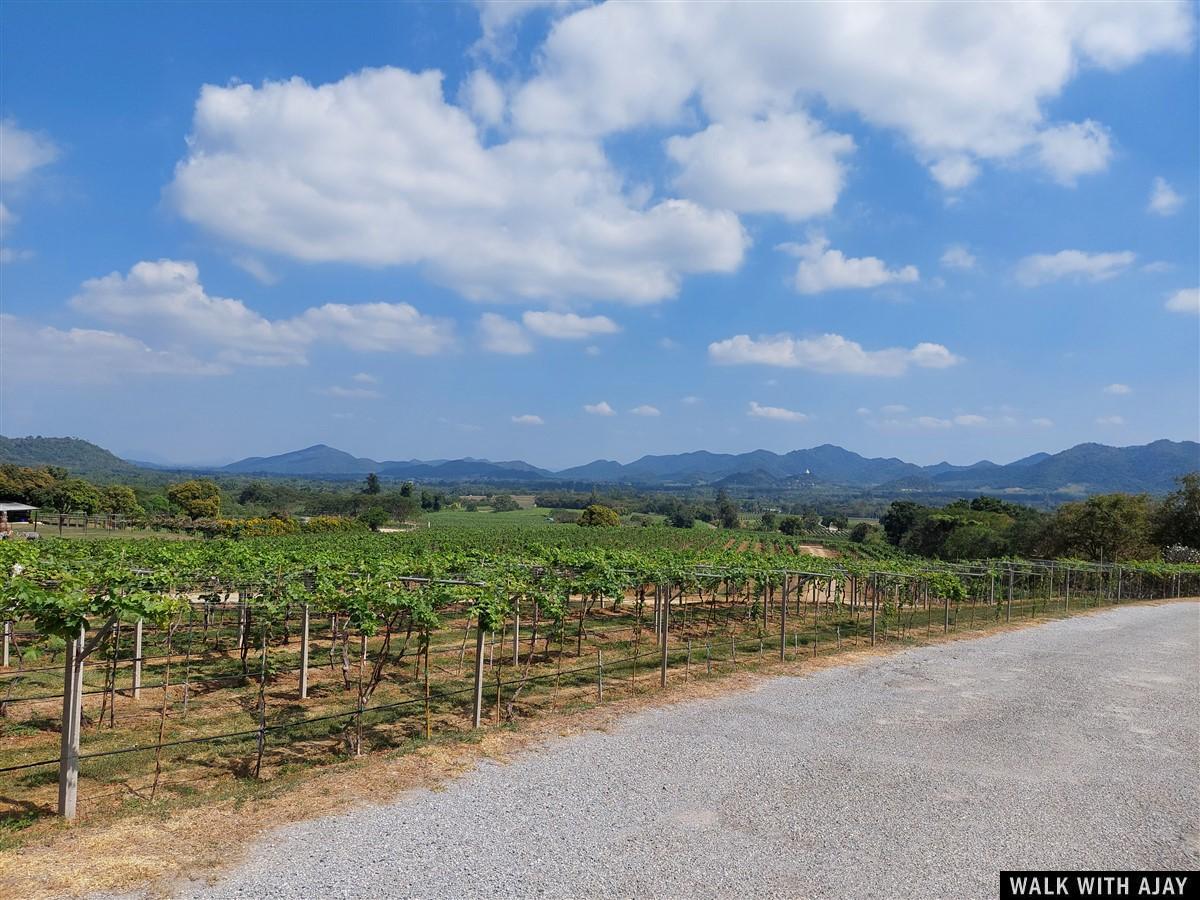 Lunch At Monsoon Valley Vineyard : Hua Hin, Thailand (Jan’22) – Day 3 3