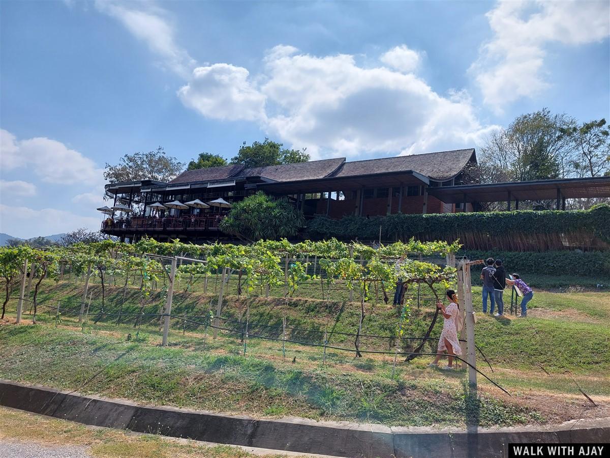 Lunch At Monsoon Valley Vineyard : Hua Hin, Thailand (Jan’22) – Day 3 4