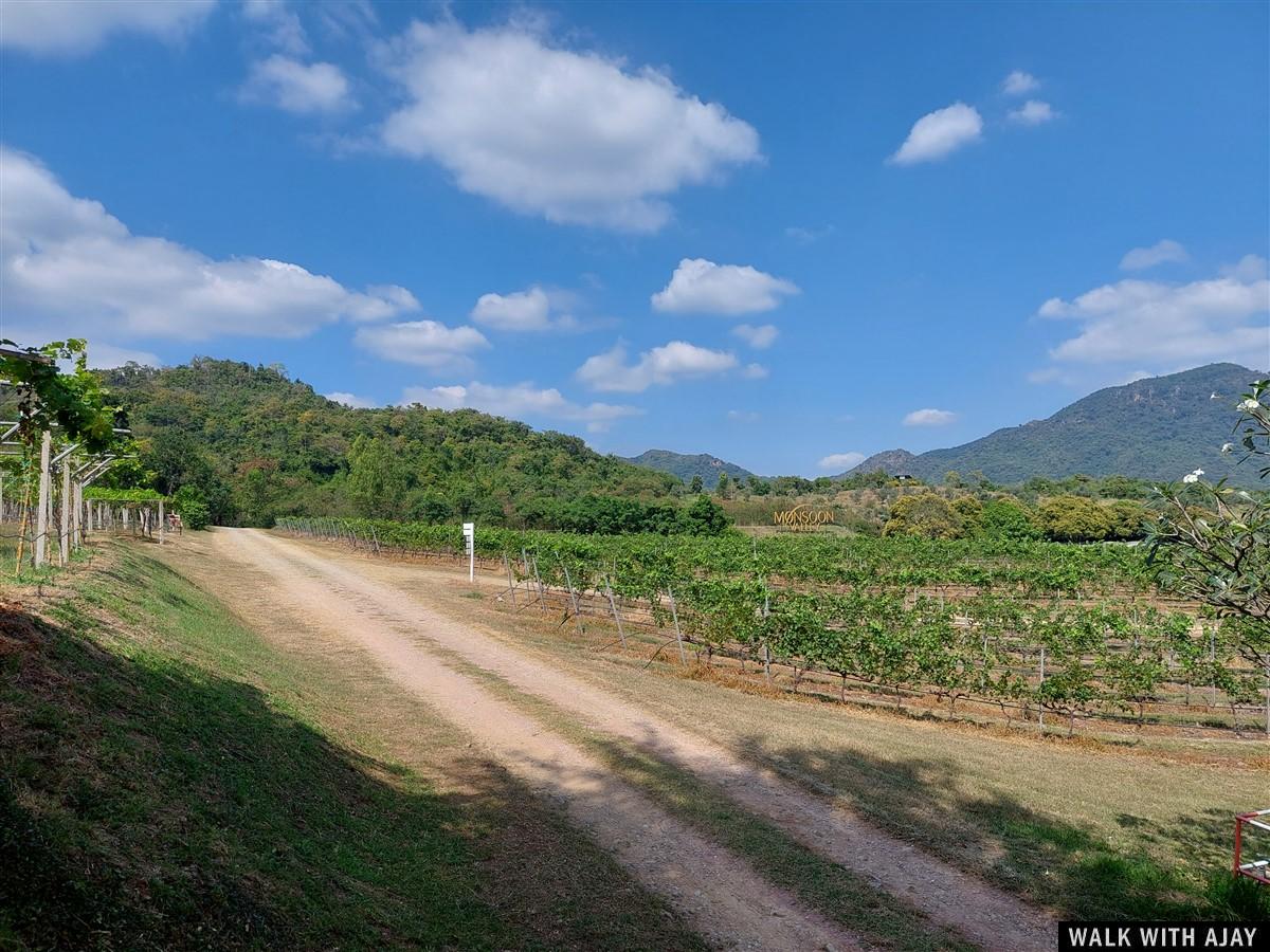 Lunch At Monsoon Valley Vineyard : Hua Hin, Thailand (Jan’22) – Day 3 6