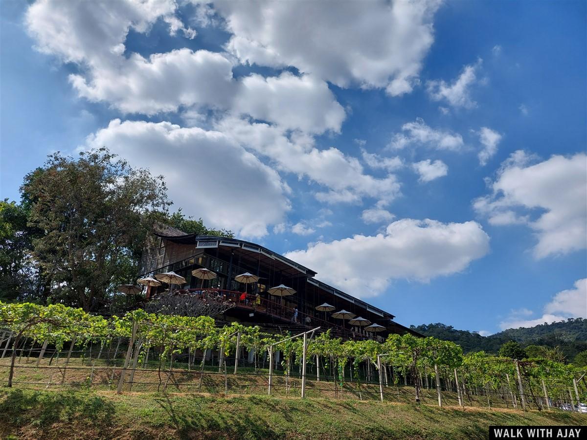 Lunch At Monsoon Valley Vineyard : Hua Hin, Thailand (Jan’22) – Day 3 10
