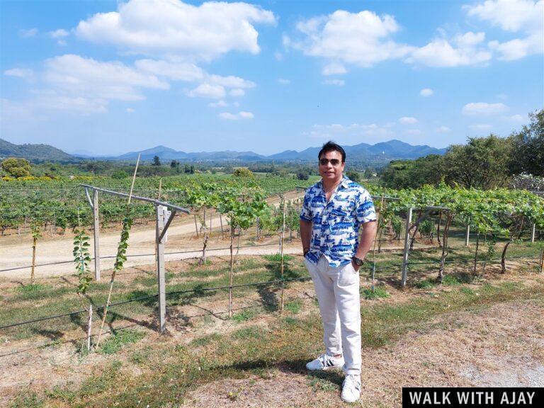 Lunch At Monsoon Valley Vineyard : Hua Hin, Thailand (Jan’22) – Day 3