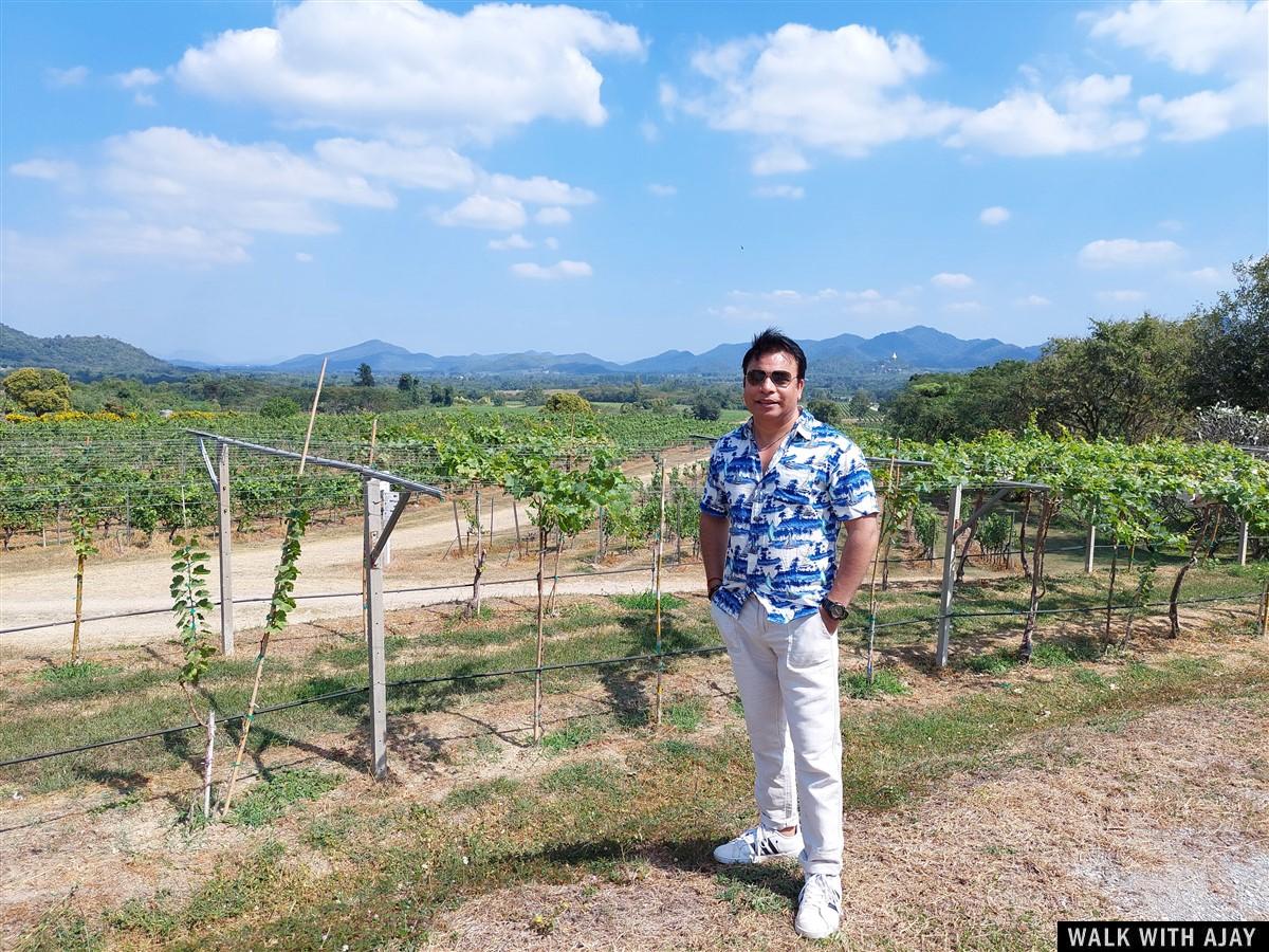 Lunch At Monsoon Valley Vineyard : Hua Hin, Thailand (Jan’22) – Day 3 29