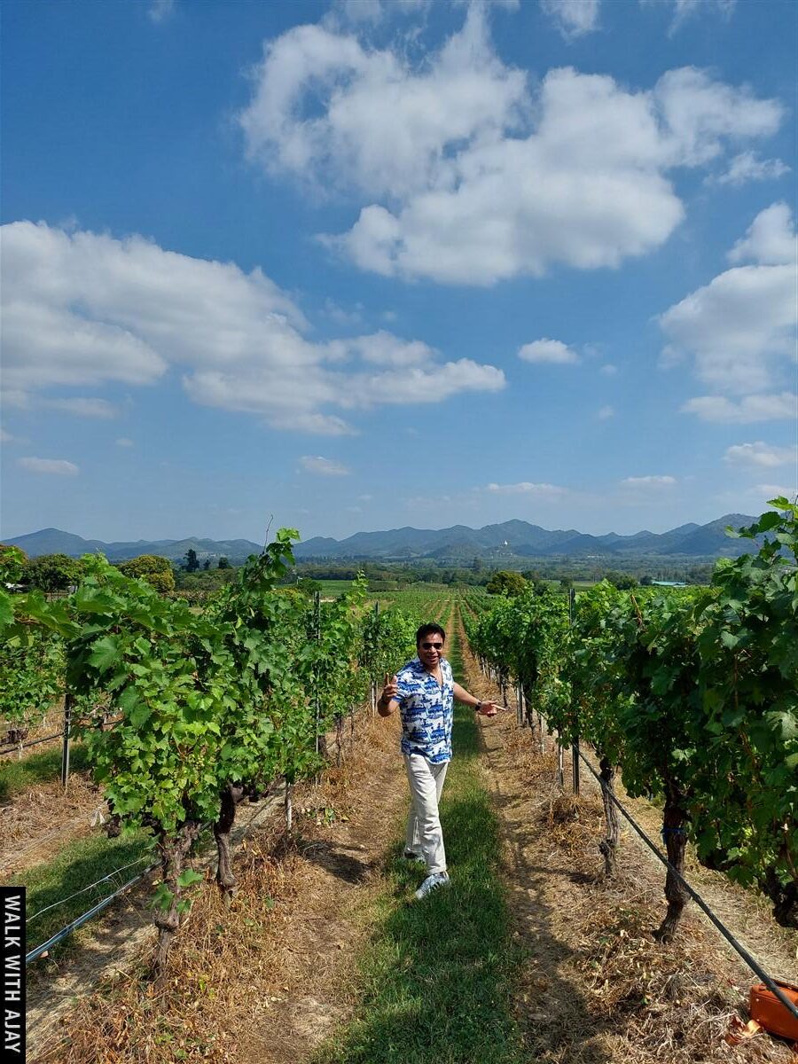 Lunch At Monsoon Valley Vineyard : Hua Hin, Thailand (Jan’22) – Day 3 11