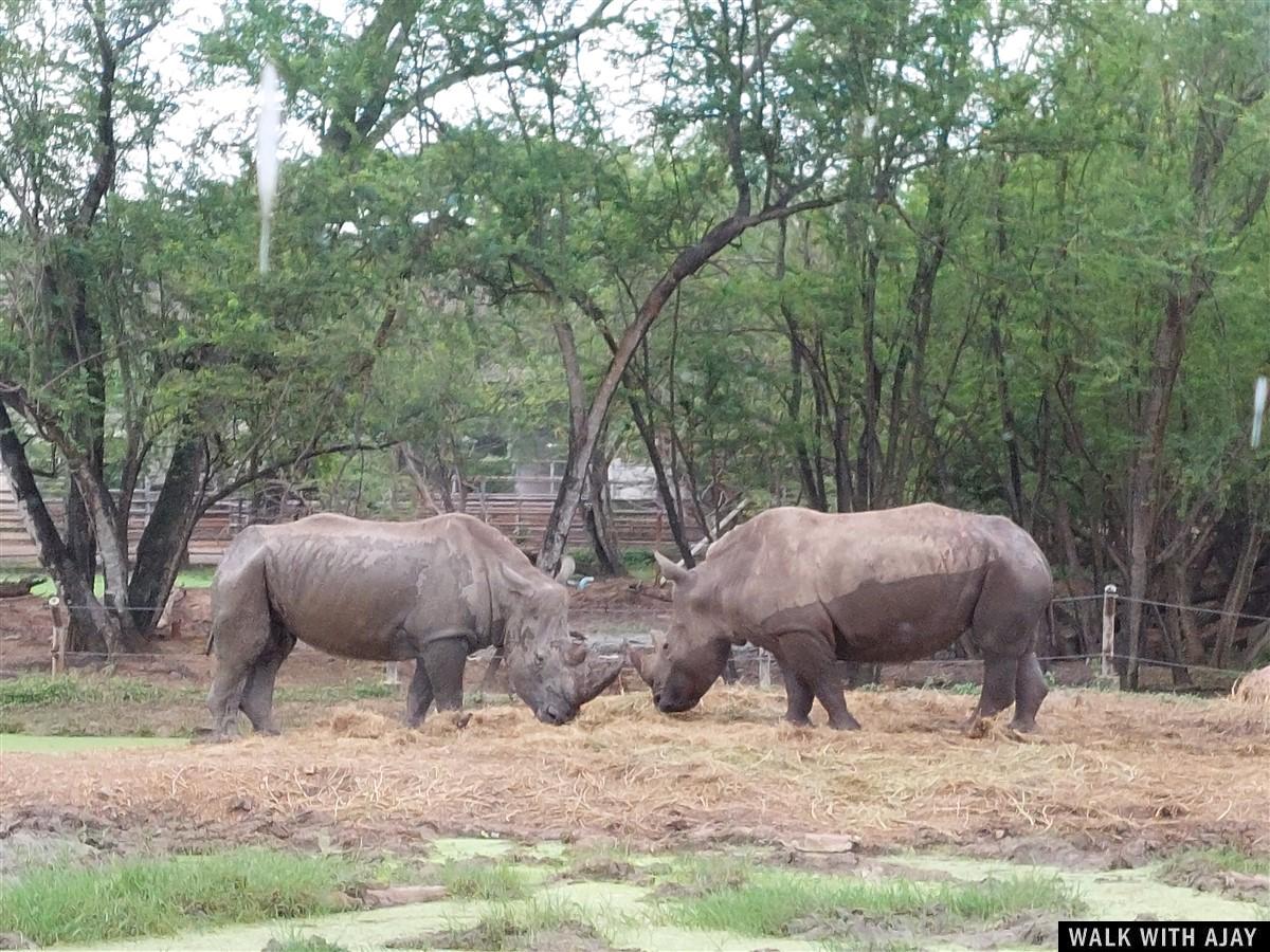 Day 3 - Our Full Day Trip To Safari World : Bangkok, Thailand (Jul’22) 14