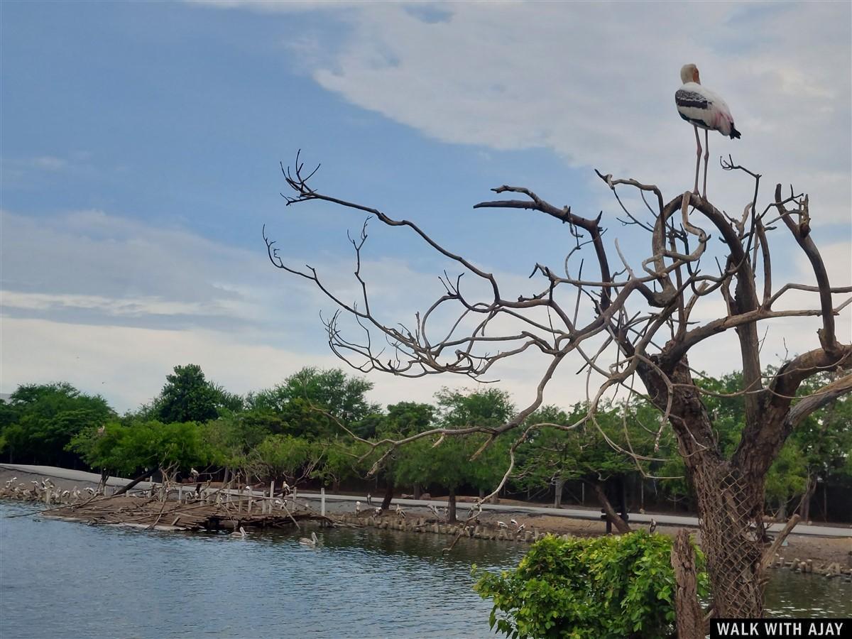 Day 3 - Our Full Day Trip To Safari World : Bangkok, Thailand (Jul’22) 17