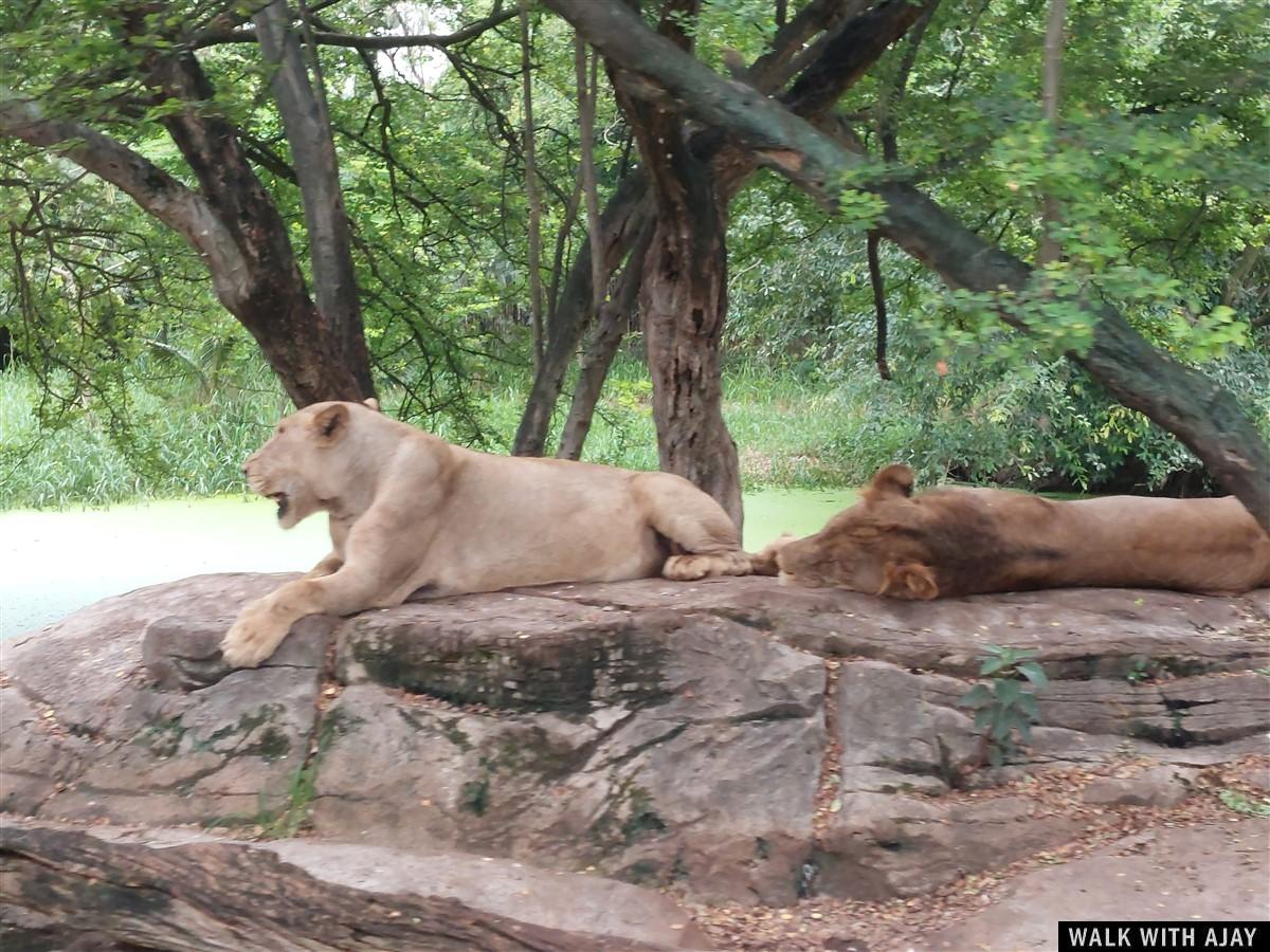 Day 3 - Our Full Day Trip To Safari World : Bangkok, Thailand (Jul’22) 20