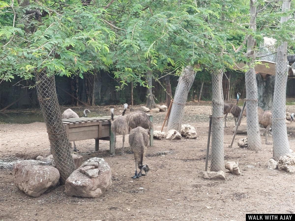 Day 3 - Our Full Day Trip To Safari World : Bangkok, Thailand (Jul’22) 39