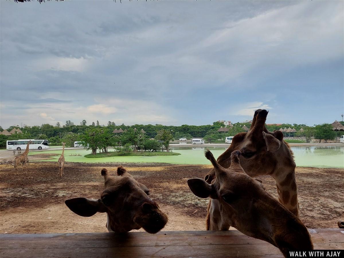 Day 3 - Our Full Day Trip To Safari World : Bangkok, Thailand (Jul’22) 42