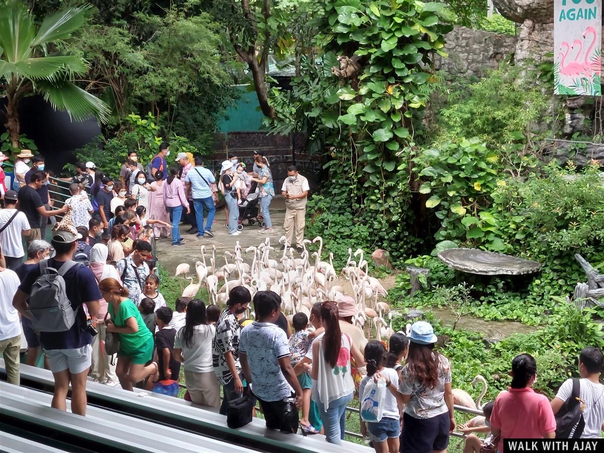 One Day Trip To Safari World : Bangkok, Thailand (Jul’22) – Day 3 32