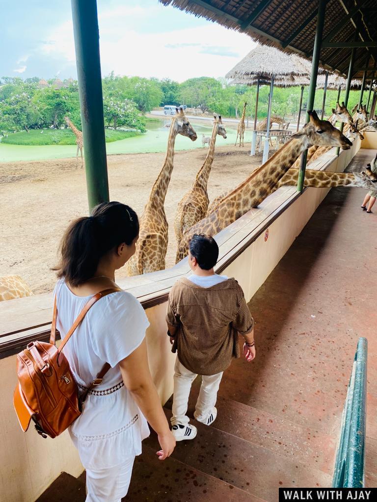 One Day Trip To Safari World : Bangkok, Thailand (Jul’22) – Day 3 47