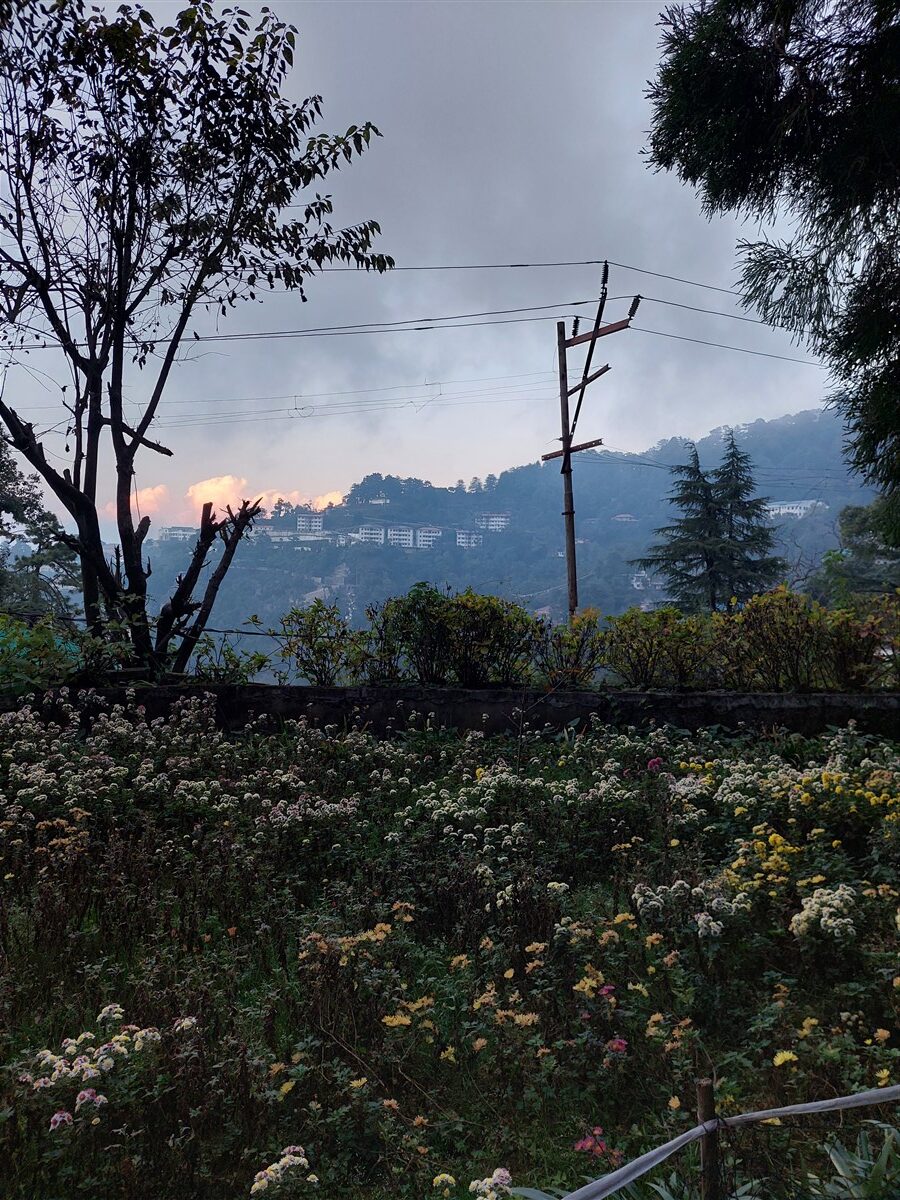 Two Days Trip To Mussoorie : India (Nov’22) – Day 14 32