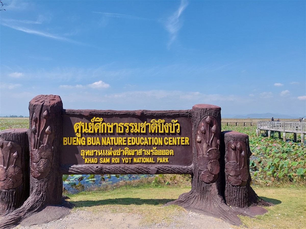 Morning Trip To Bueng Bua Nature Observation Center : Sam Roi Yot, Thailand (Jan’23) – Day 3 36