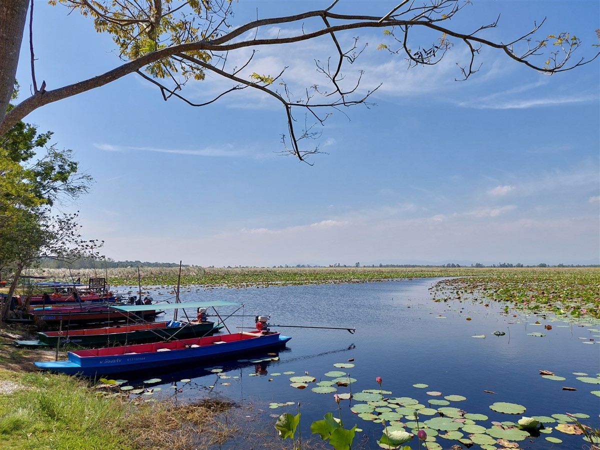 Day 3 - Our Morning Trip To Bueng Bua Nature Observation Center : Sam Roi Yot, Thailand (Jan’23) 13