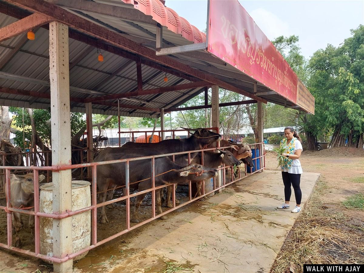 Day 2 - In The Morning We Visited 2 Temples in Chachoengsao : Thailand (Apr’23) 2