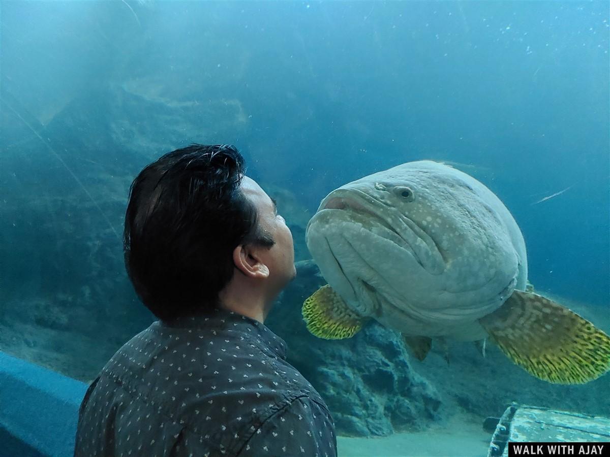 Day 2 - Visited Under Water World & Art in Paradise : Pattaya, Thailand (Oct'23) 14