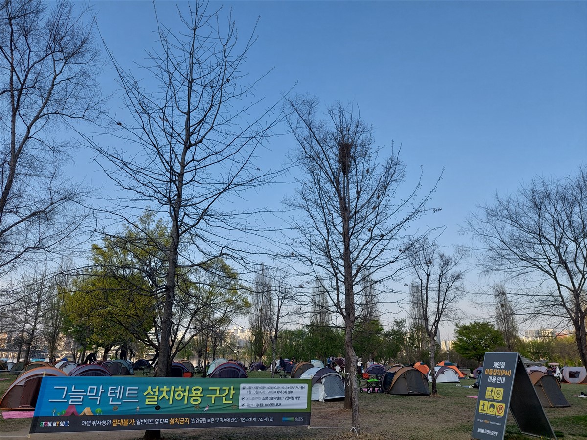 Day 3 - Bukchon Hanok Village, Yeouido Park & Hongdae Area : Seoul, South Korea (Apr'24) 32