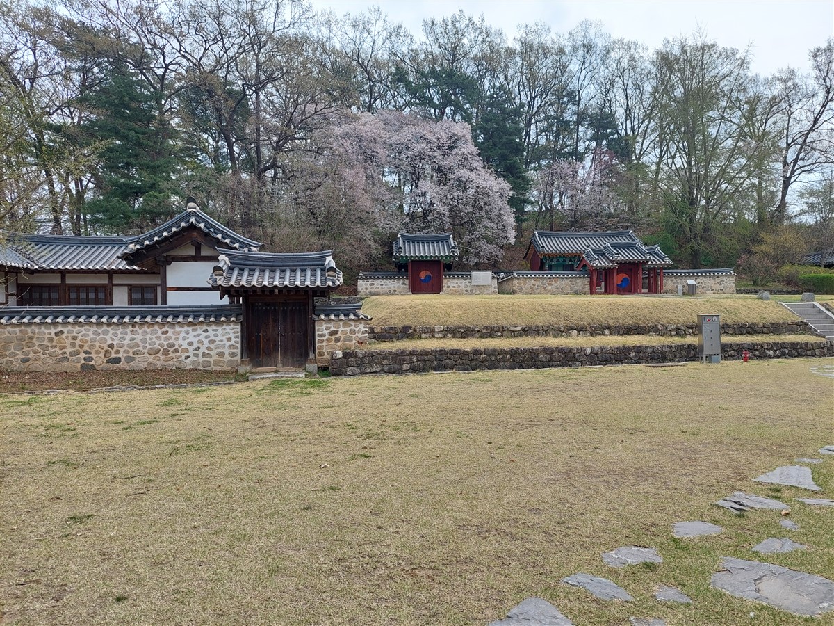 Day 4 - Visited DMZ (Demilitarized Zone) & Gangnam Street : Seoul, South Korea (Apr'24) 15