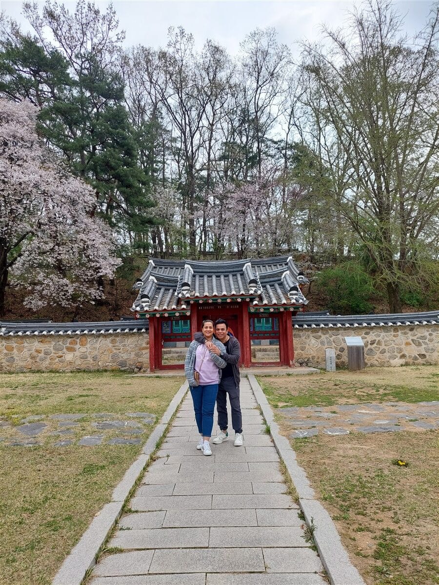 Day 4 - Visited DMZ (Demilitarized Zone) & Gangnam Street : Seoul, South Korea (Apr'24) 17