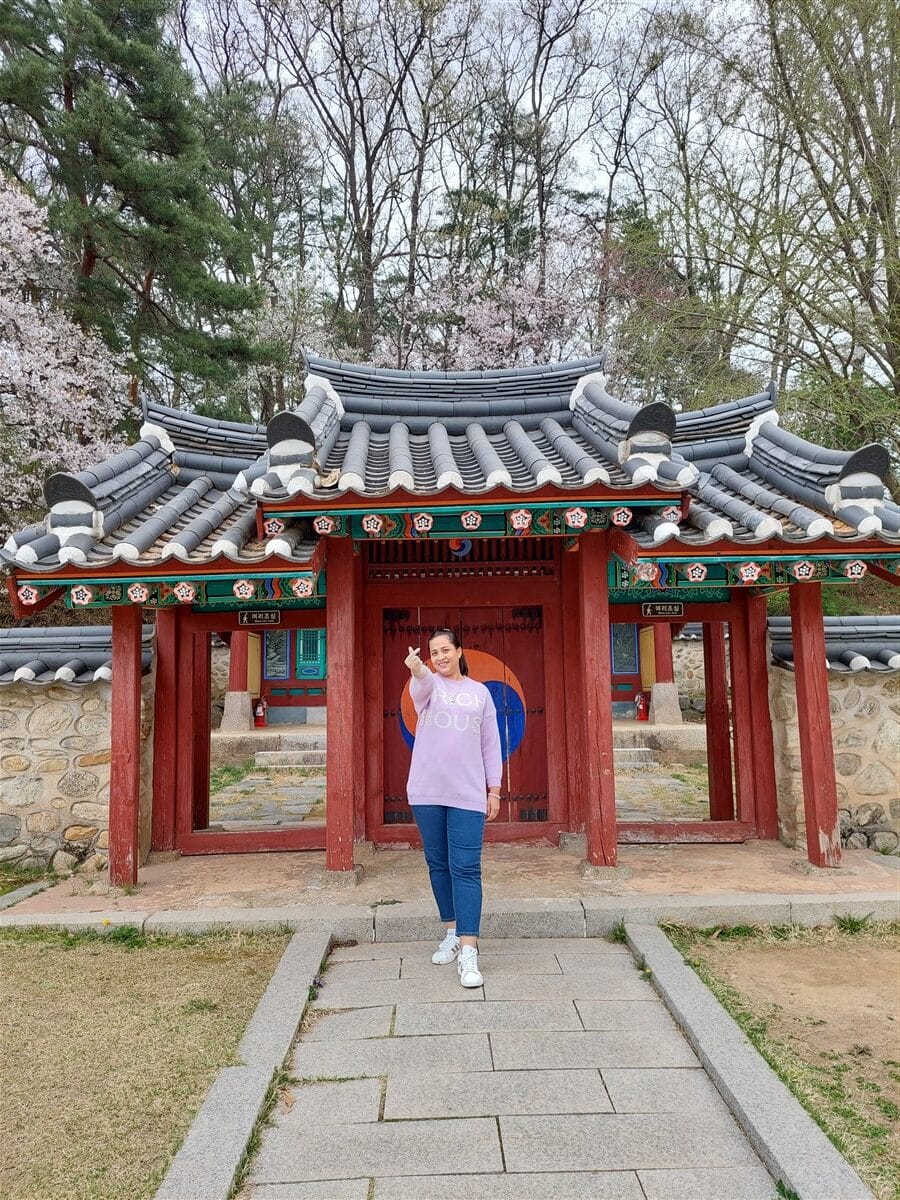 Day 4 - Visited DMZ (Demilitarized Zone) & Gangnam Street : Seoul, South Korea (Apr'24) 20