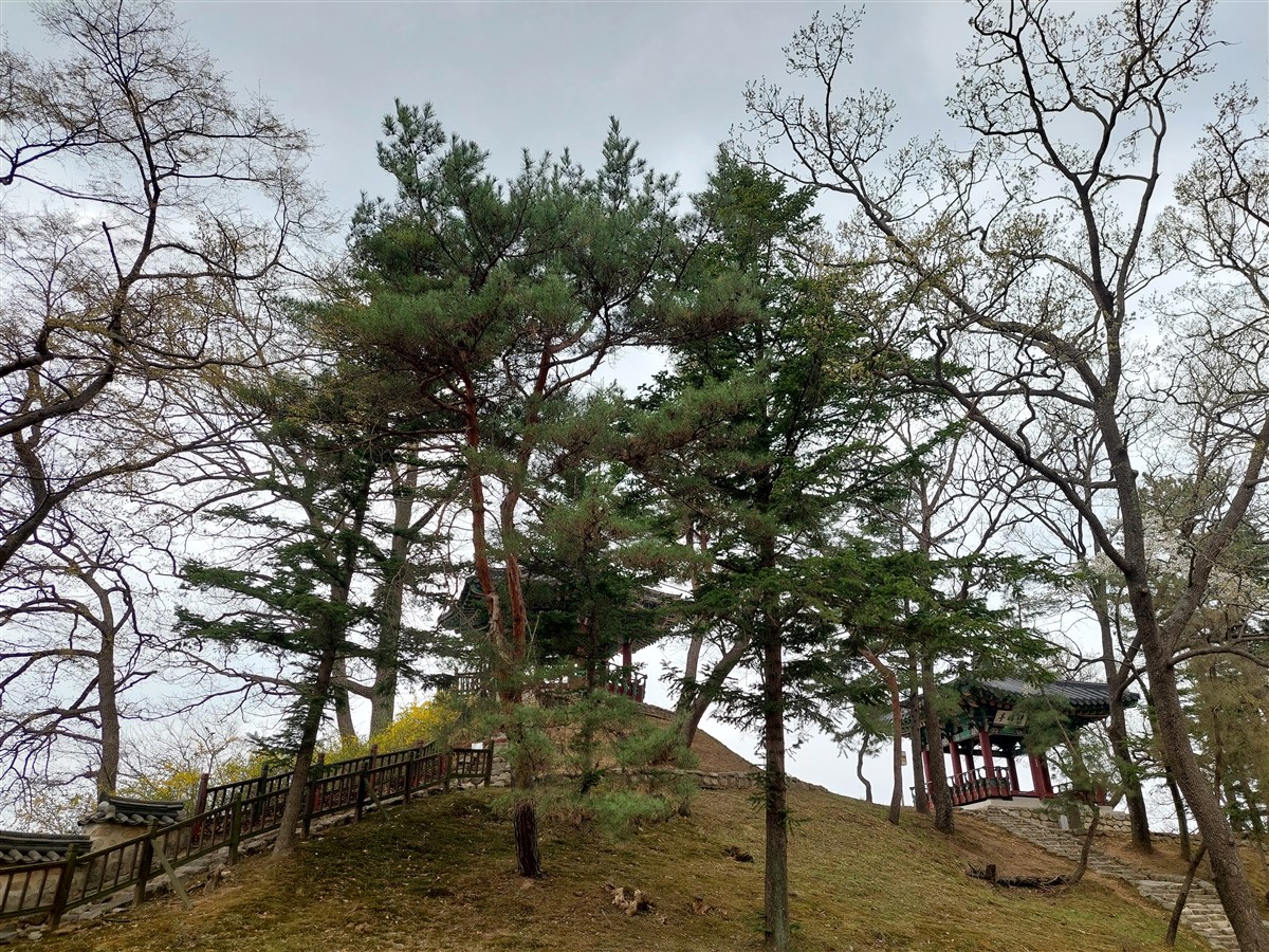 Day 4 - Visited DMZ (Demilitarized Zone) : Paju-si, South Korea (Apr'24) 25