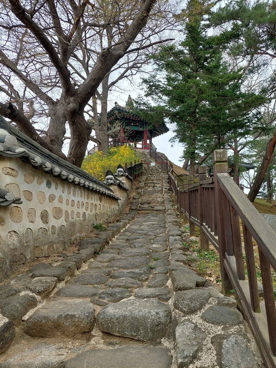 Day 4 - Visited DMZ (Demilitarized Zone) & Gangnam Street : Seoul, South Korea (Apr'24) 26