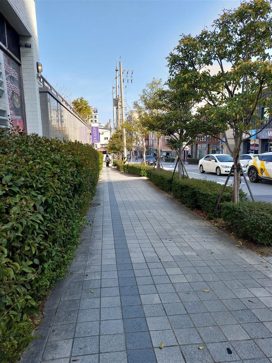 Day 6 - Seoul To Busan By Bullet Train : South Korea (Apr'24) 11