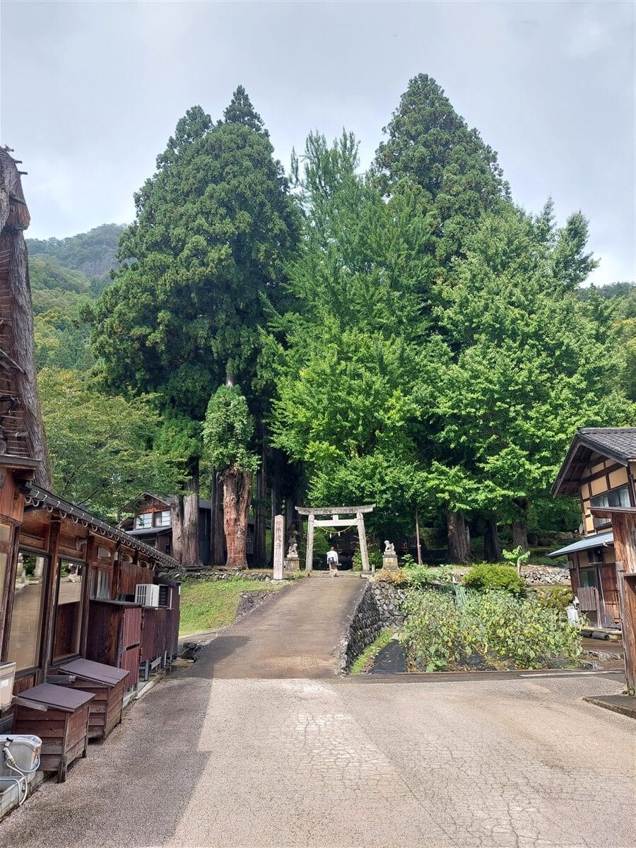 Day 4 - One Day Shirakawago & Gokayama Ainokura Tour from Takayama : Japan (Oct25) 8