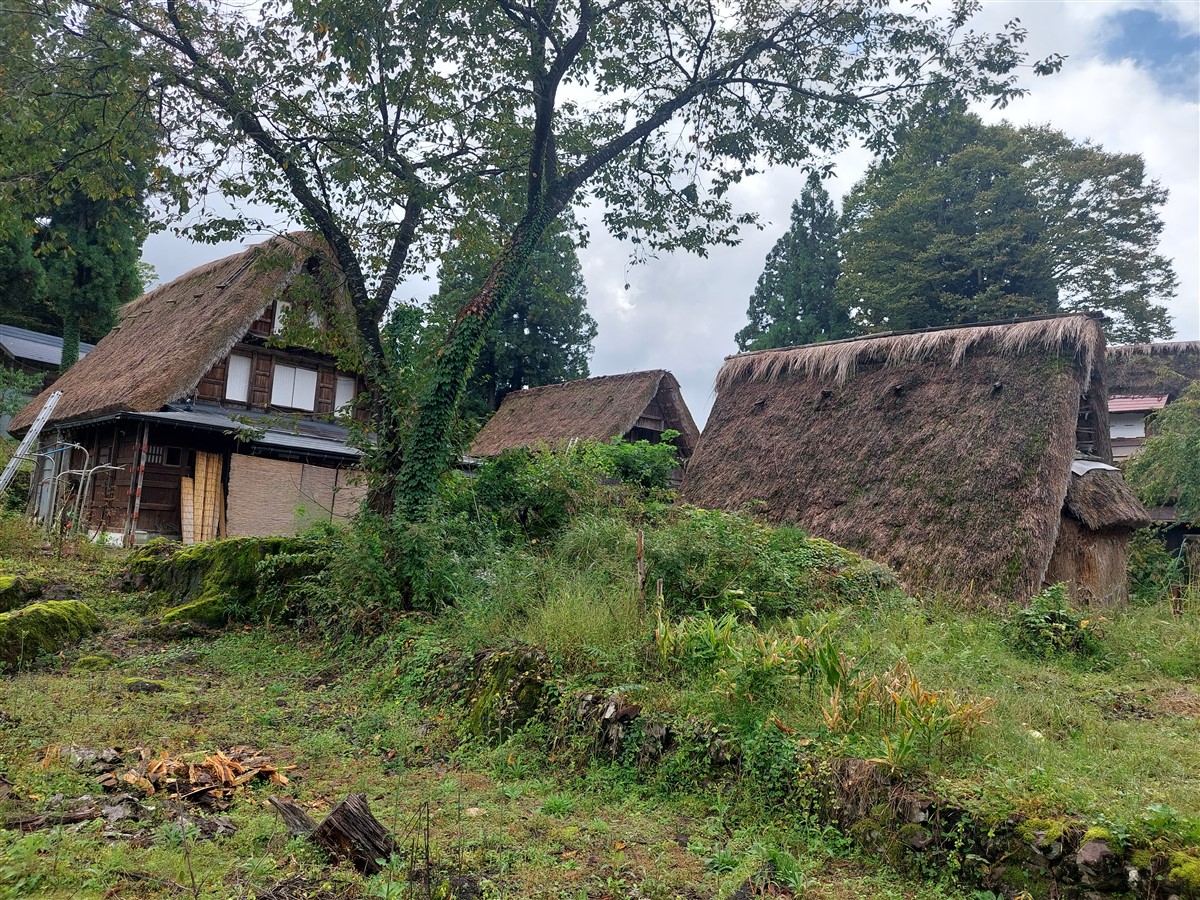 Day 4 - One Day Shirakawago & Gokayama Ainokura Tour from Takayama : Japan (Oct25) 13
