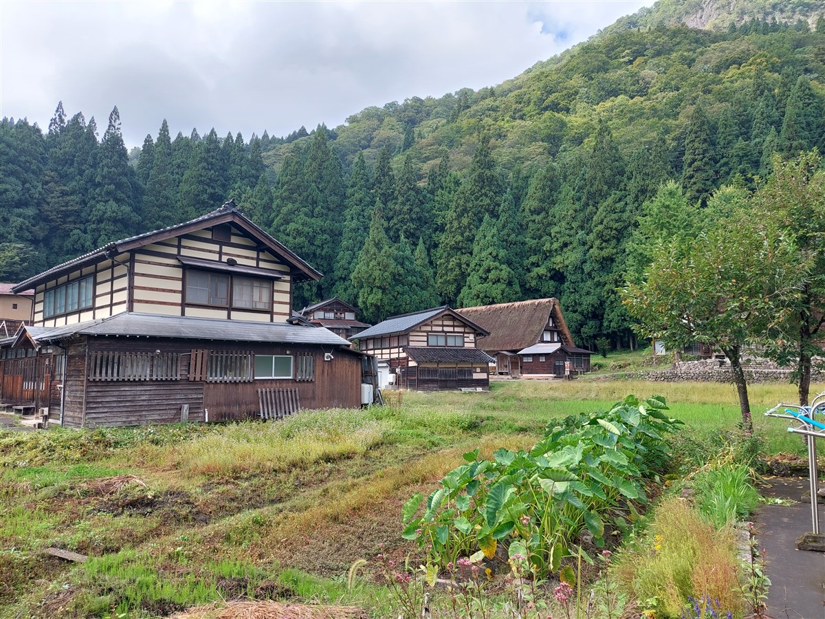 Day 4 - One Day Shirakawago & Gokayama Ainokura Tour from Takayama : Japan (Oct25) 21