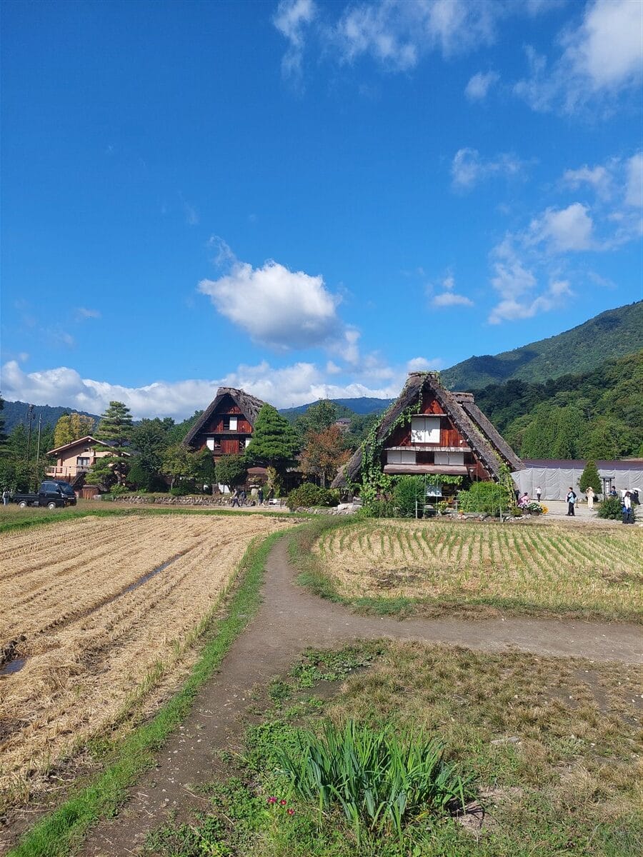 Day 4 - One Day Shirakawago & Gokayama Ainokura Tour from Takayama : Japan (Oct25) 42