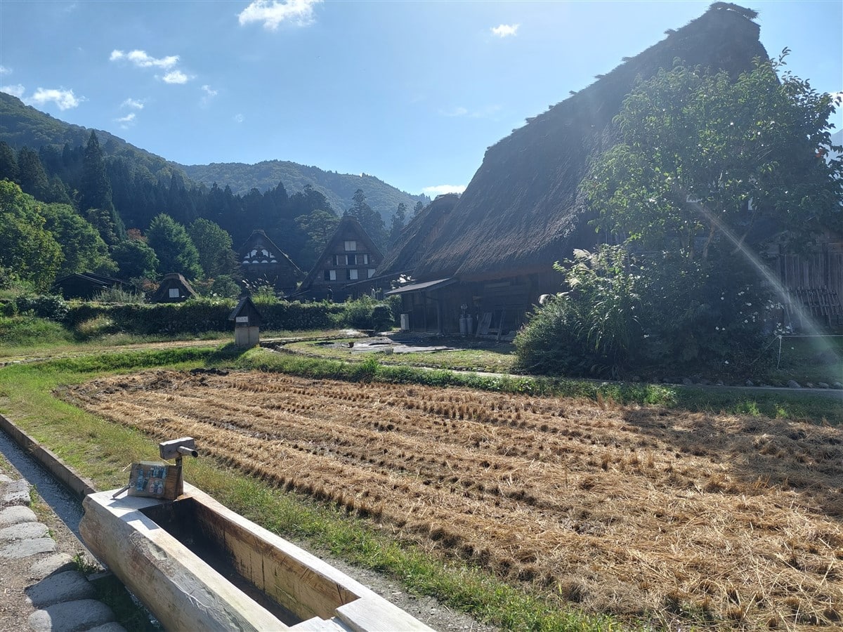 Day 4 - One Day Shirakawago & Gokayama Ainokura Tour from Takayama : Japan (Oct25) 44