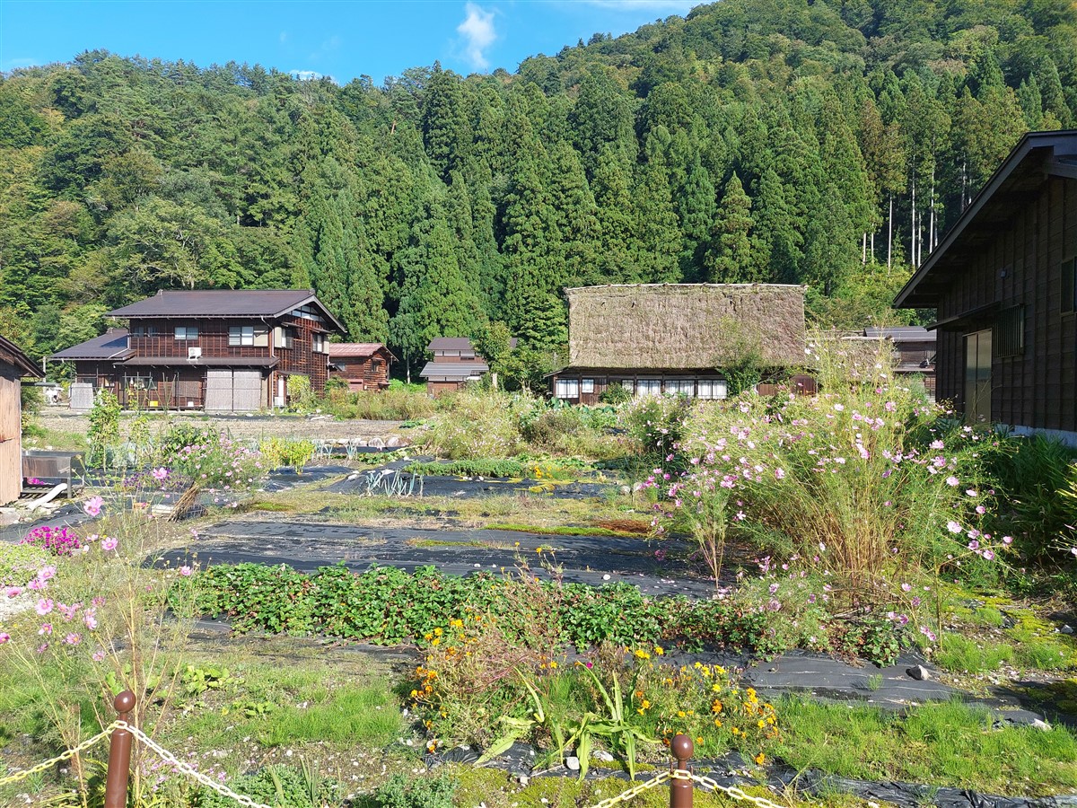 Day 4 - One Day Shirakawago & Gokayama Ainokura Tour from Takayama : Japan (Oct25) 47