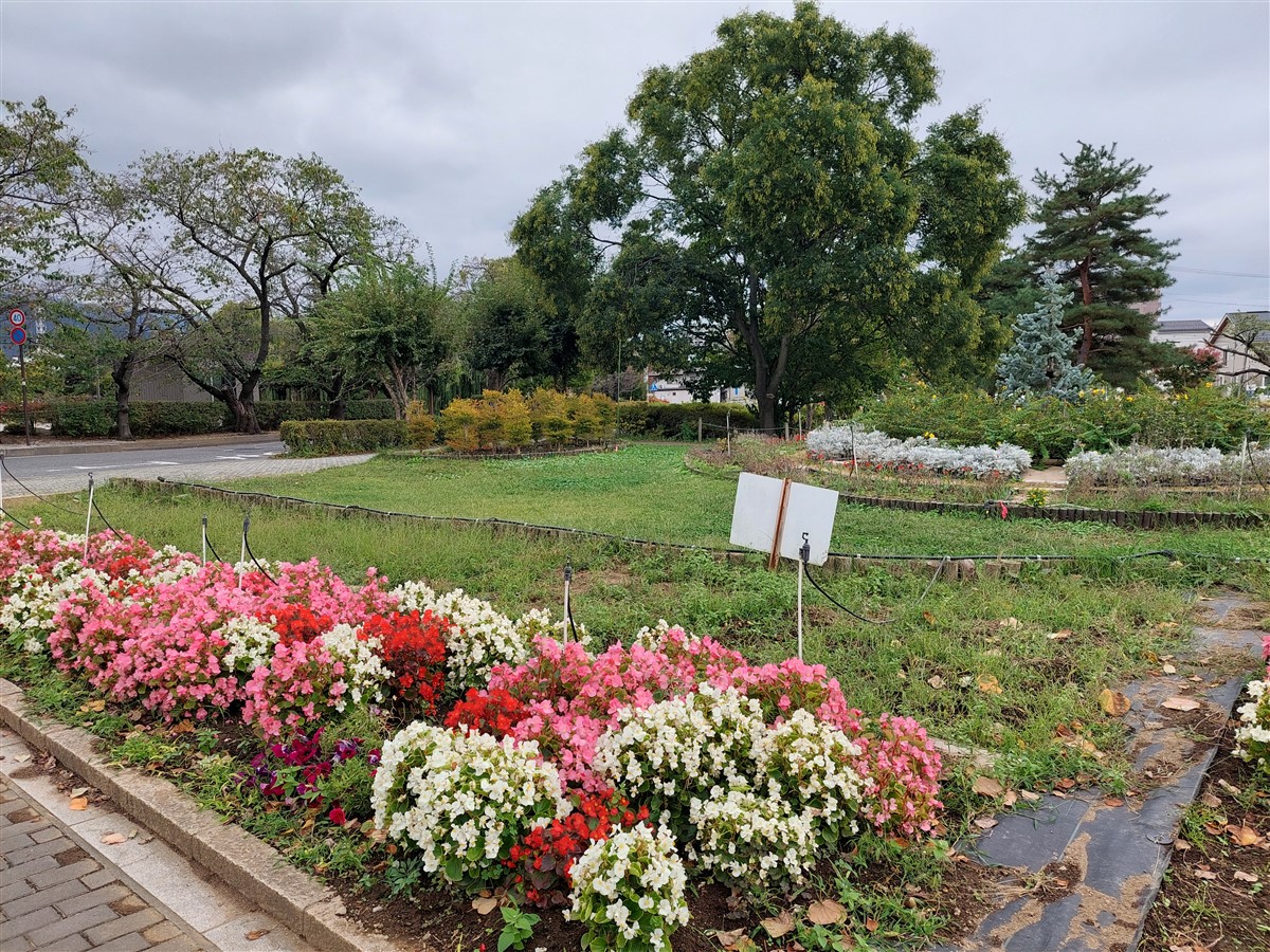 Day 5 - Walking & Exploring Matsumoto City : Japan (Oct'25) 52