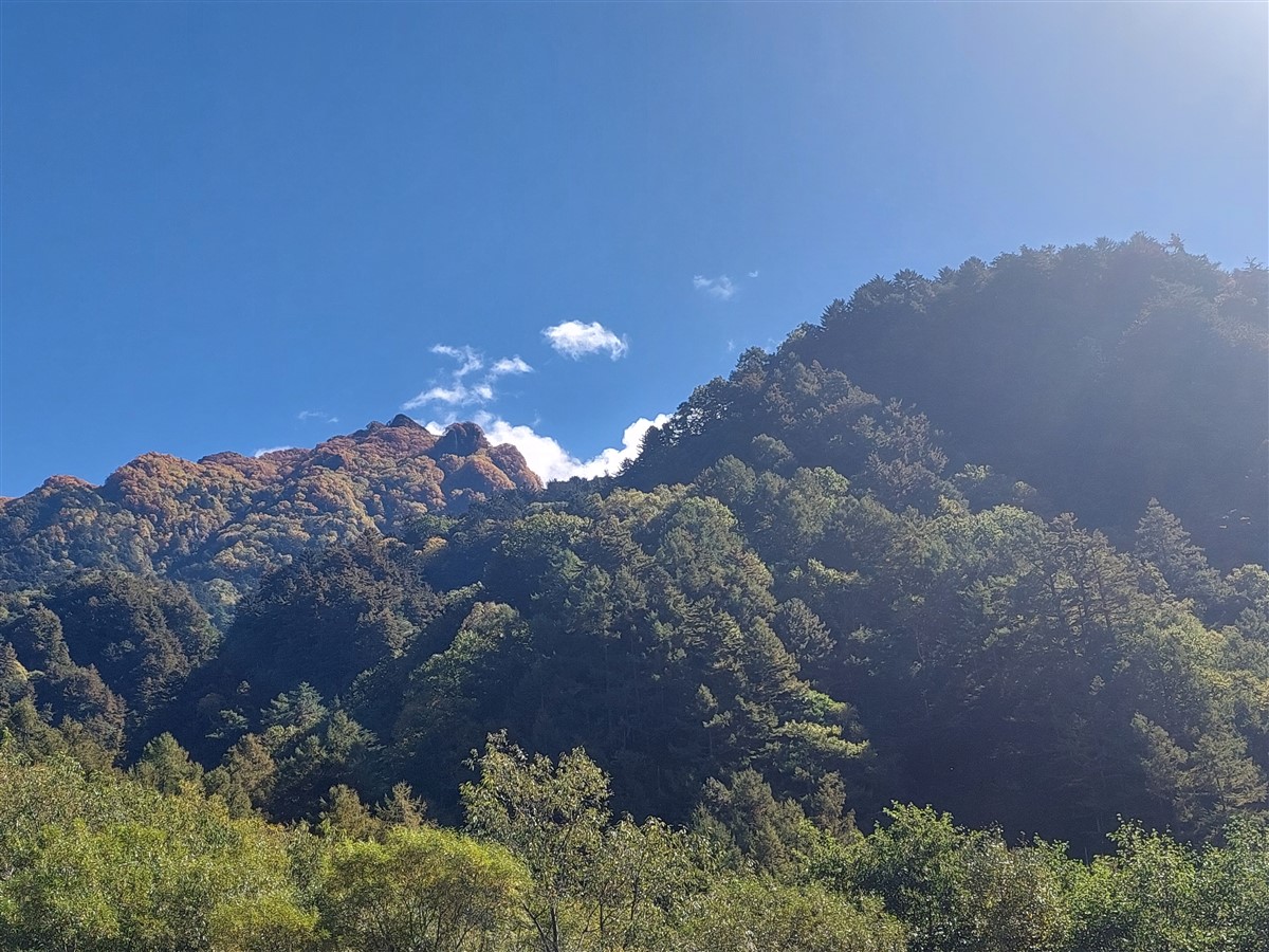 Day 6 - Matsumoto To Kamikochi Day Trip : Japan (Oct'25) 16