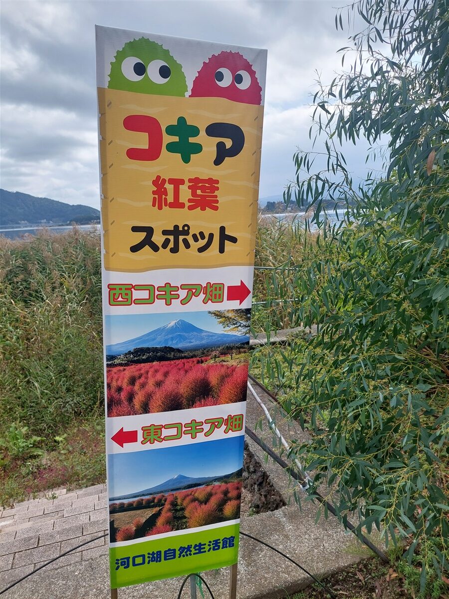 Day 8 - A Day Trip to Mount Fuji : Japan (Oct'25) 9