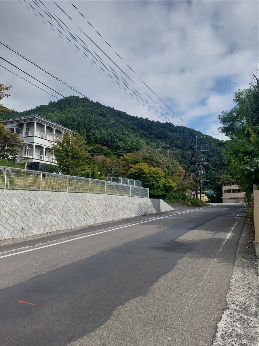 Day 8 - A Day Trip to Mount Fuji : Japan (Oct'25) 13