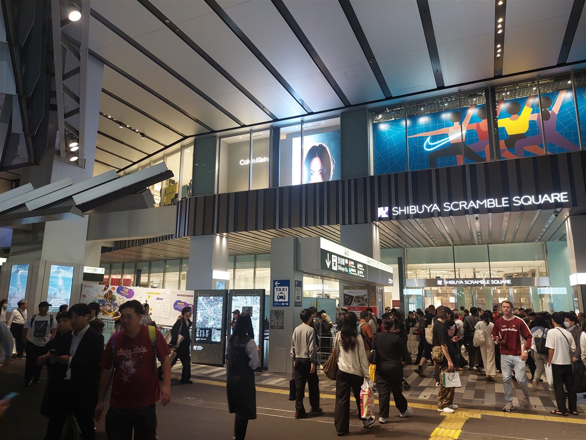 Day 8 - A Day Trip to Mount Fuji : Japan (Oct'25) 38