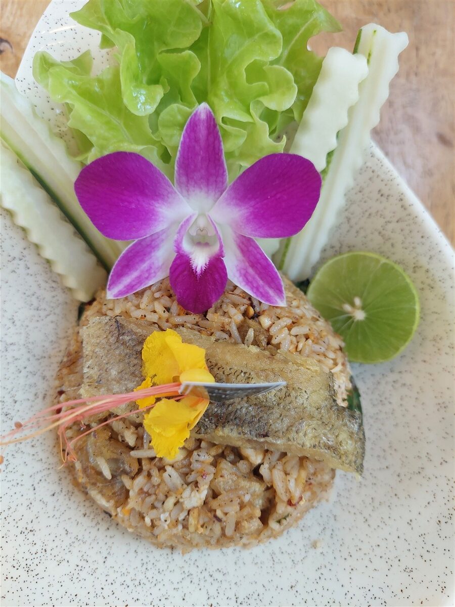 Day 1 - Bangkok to Phetchaburi Motorbike Trip : Thailand (Mar'26) 11