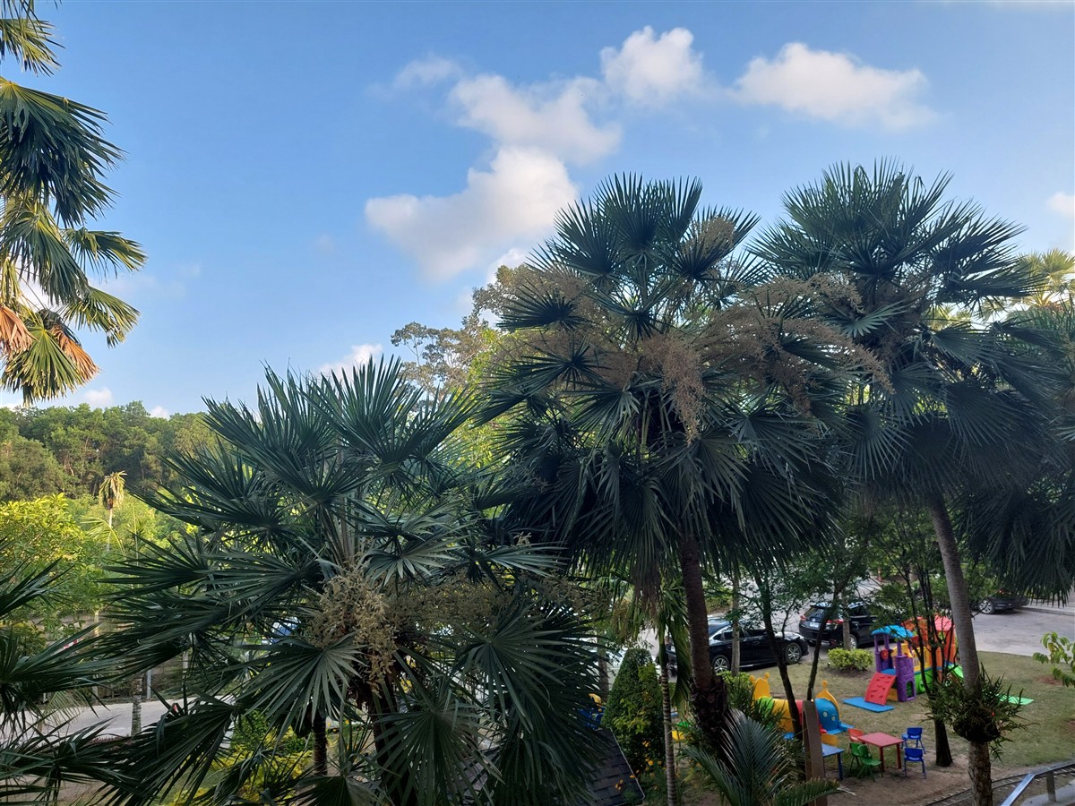 Day 3 & 4 - Sand Dunes Chaolao Beach Resort, Chanthaburi : Thailand (Apr'26) 19