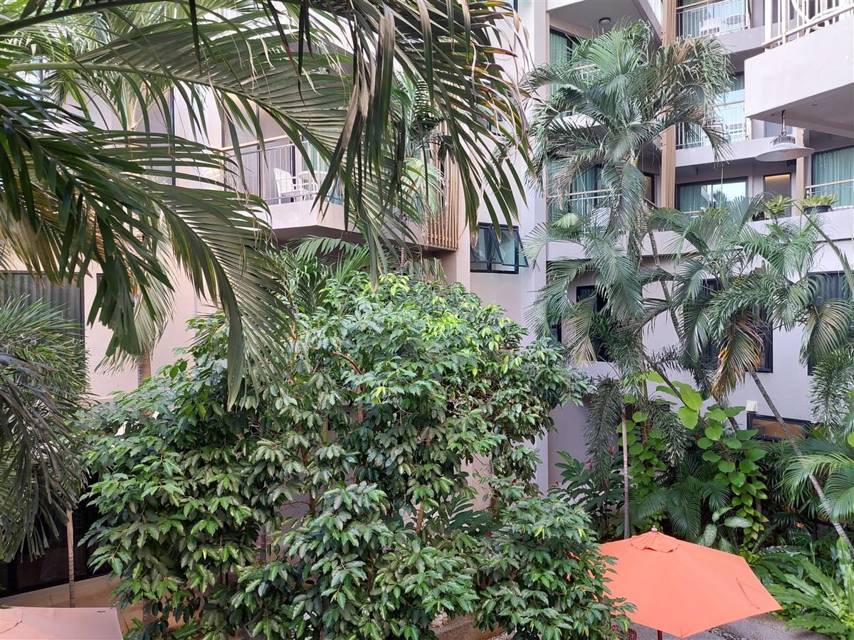 Day 3 & 4 - Sand Dunes Chaolao Beach Resort, Chanthaburi : Thailand (Apr'26) 21