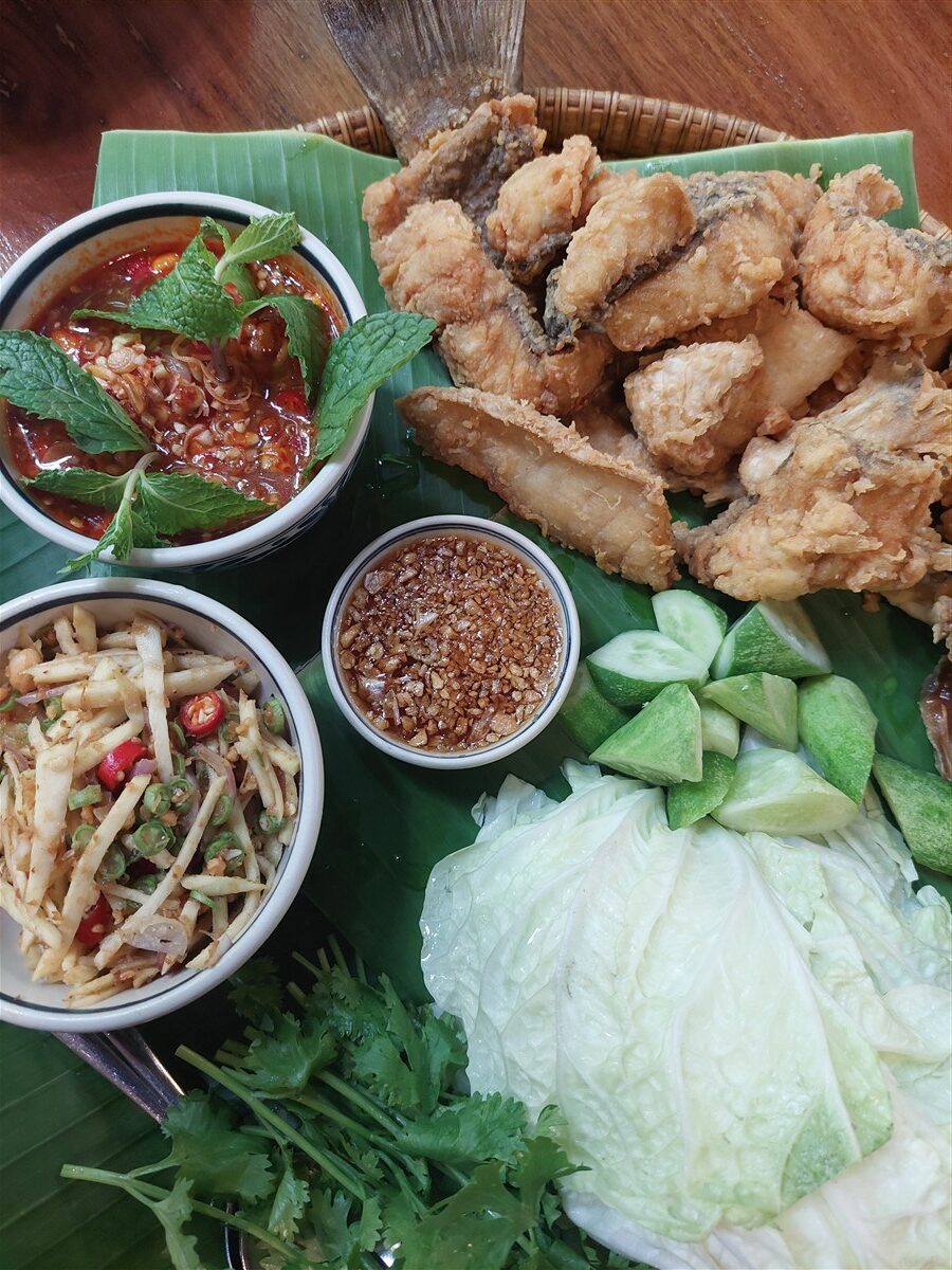 Hidden Jungle Lunch at ฐ.ฐาน Cafe (Simple Meet) Bangkok, Thailand (May'26) 2