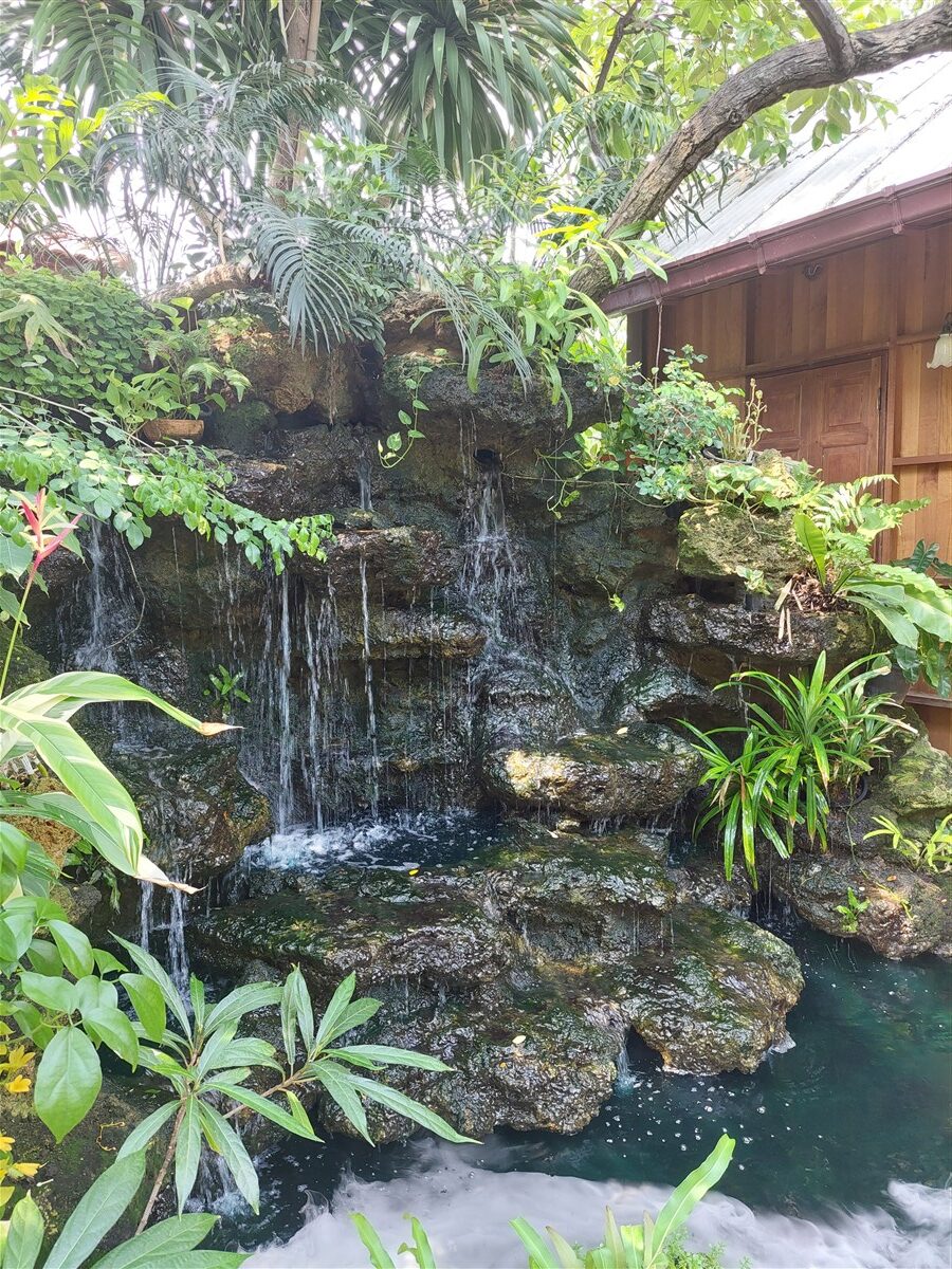 Hidden Jungle Lunch at ฐ.ฐาน Cafe (Simple Meet) Bangkok, Thailand (May'26) 9