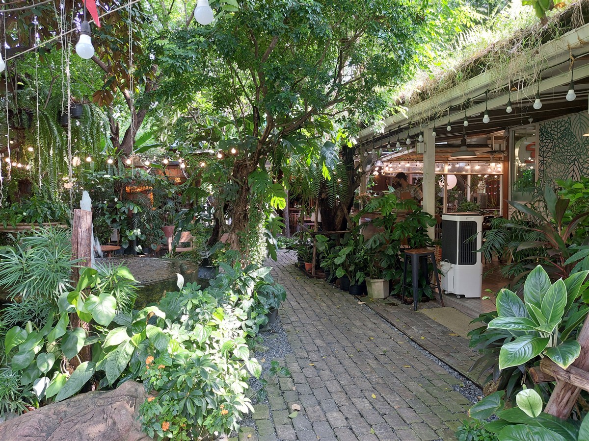 Hidden Jungle Lunch at ฐ.ฐาน Cafe (Simple Meet) Bangkok, Thailand (May'26) 14