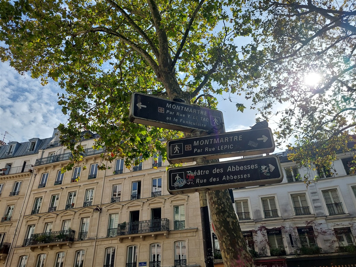 Day 5 - Montmartre & Eiffel Tower Lights on Our Last Night in Paris : France (Sep'26) 3