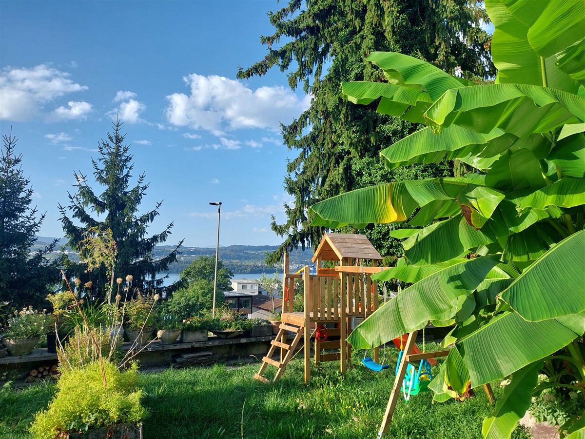 Day 2 – Zurich City Walk, Uetliberg Viewpoint & Lake Zurich : Switzerland (Sep'26) 5