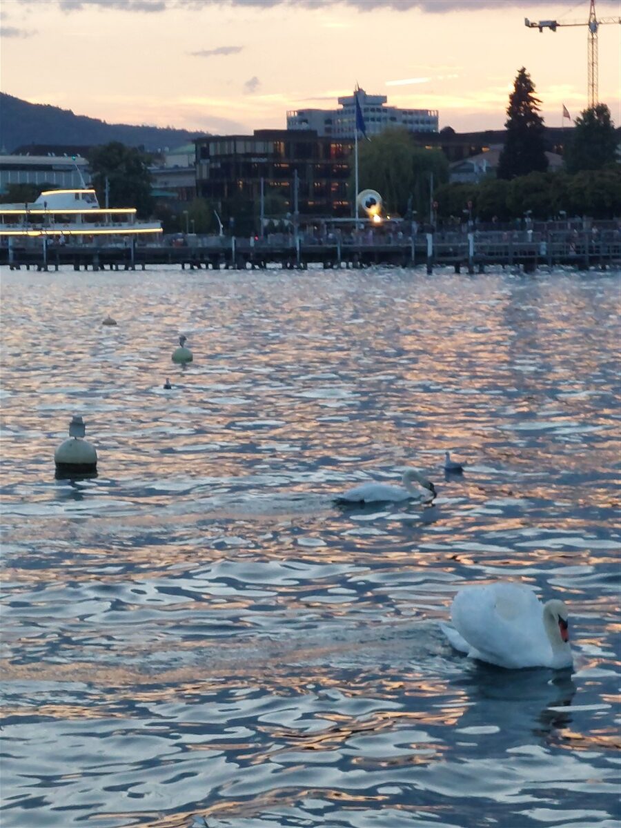 Day 2 – Zurich City Walk, Uetliberg Viewpoint & Lake Zurich : Switzerland (Sep'26) 26