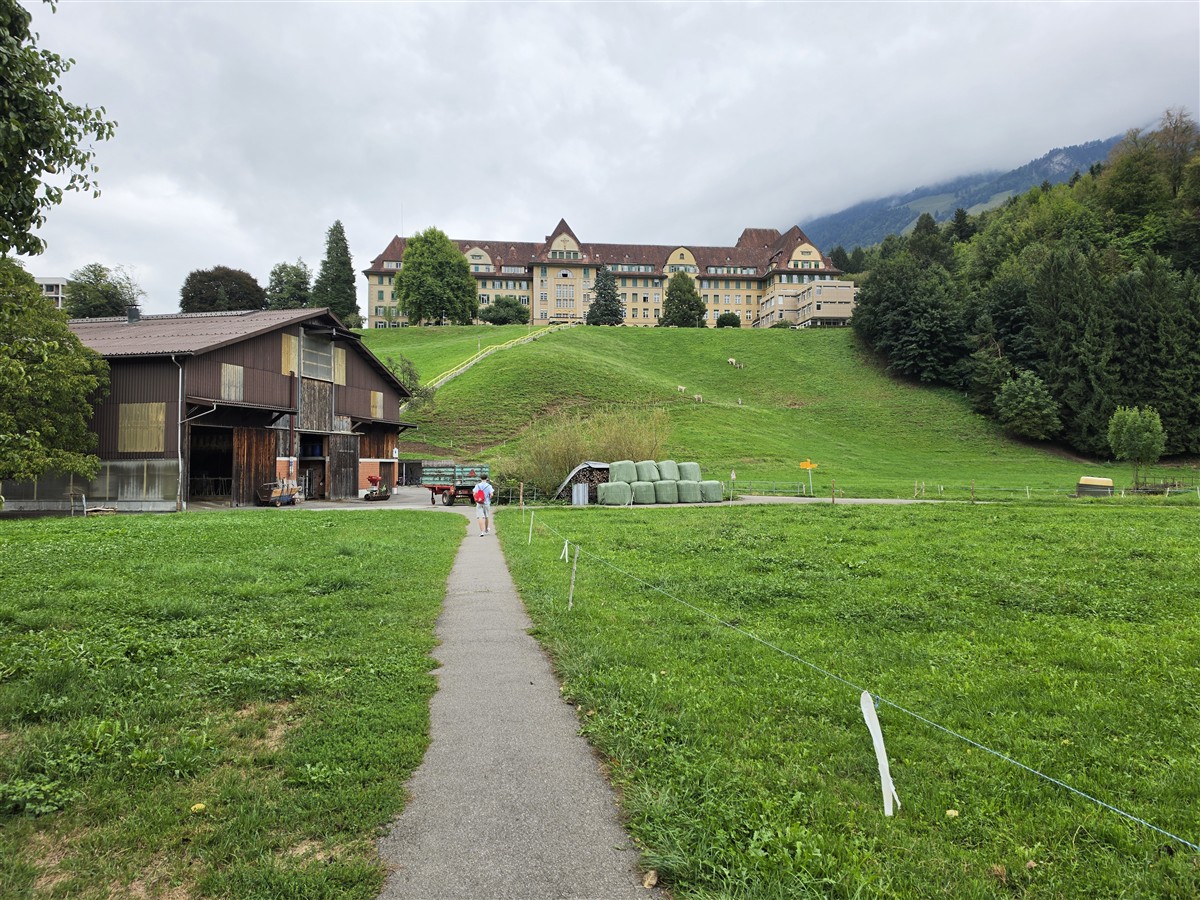 Day 4 – Brunnen to Rütli, Tellsplatte & Sisikon Lake Trail : Switzerland (Sep'26) 3