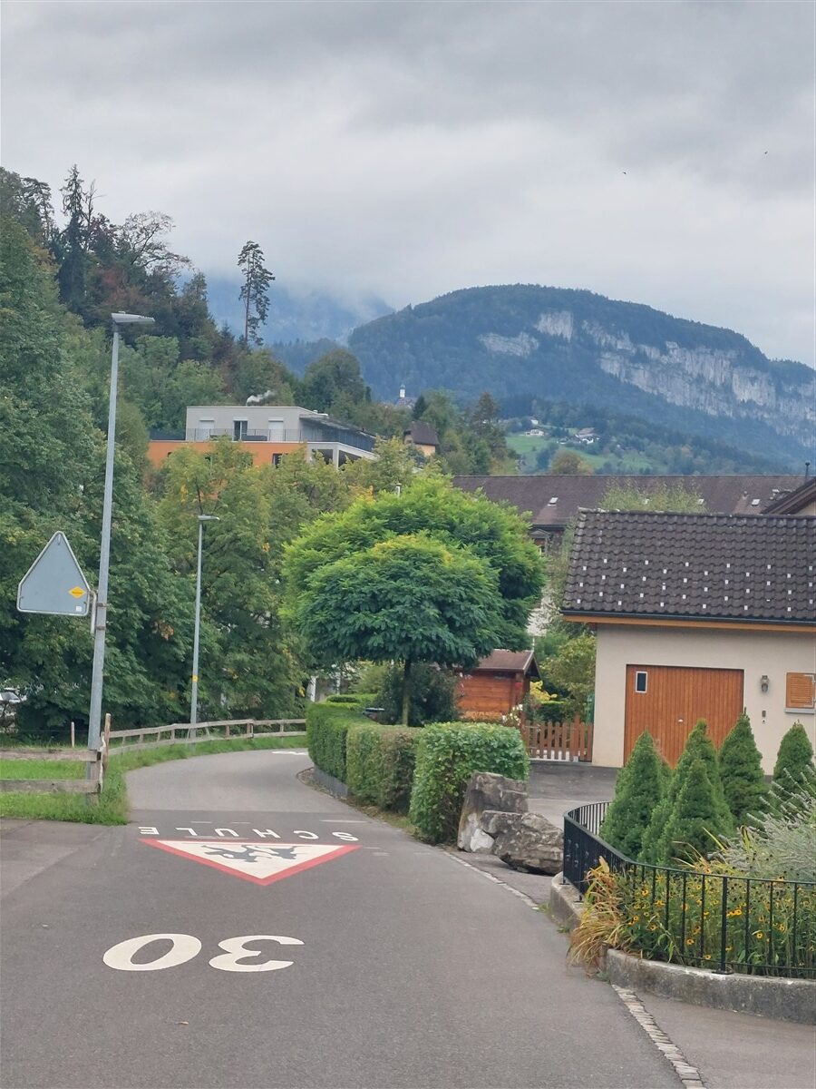 Day 4 – Brunnen to Rütli, Tellsplatte & Sisikon Lake Trail : Switzerland (Sep'26) 7