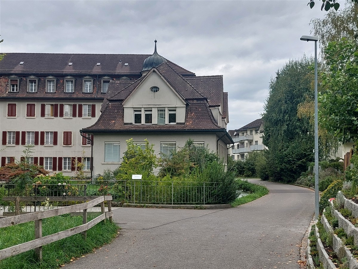 Day 4 – Brunnen to Rütli, Tellsplatte & Sisikon Lake Trail : Switzerland (Sep'26) 9